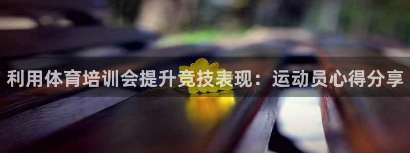 凯时登录首页,凯时K66：利用体育培训会提升竞技表现