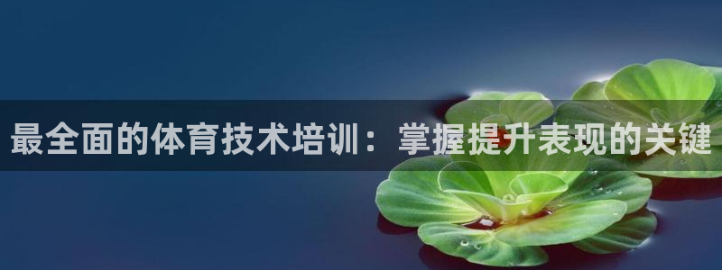 尊龙凯时的钱能退回来吗：最全面的体育技术培训：掌握提
