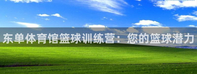 尊龙凯时台子：东单体育馆篮球训练营：您的篮球潜力