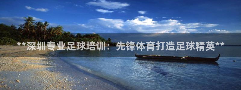 尊龙凯时不朽情缘：**深圳专业足球培训：先锋体育打造