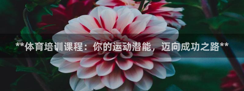 尊龙人生就是博l：**体育培训课程：你的运动潜能，迈