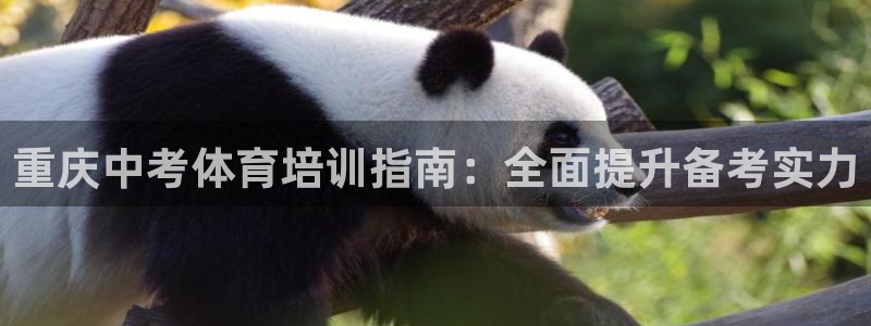 尊龙凯时最新平台登陆：重庆中考体育培训指南：全面提升