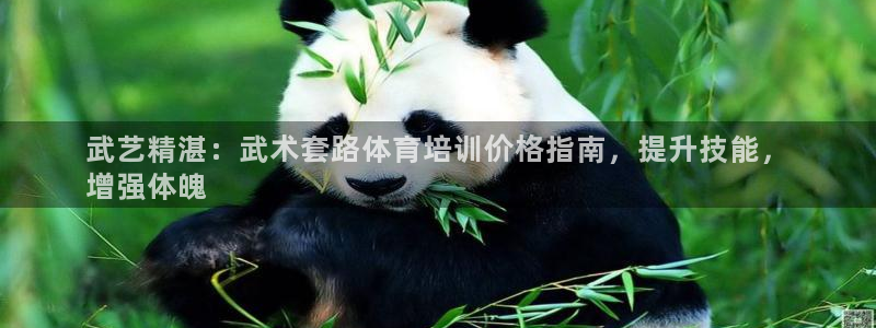 凯时kb88会员登录：武艺精湛：武术套路体育培训价格指南，提