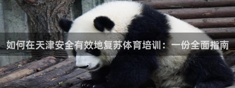 尊龙网站登录：如何在天津安全有效地复苏体育培训：一份