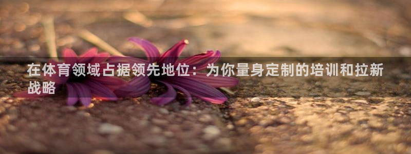 尊龙凯时凯发官网：在体育领域占据领先地位：为你量身定
