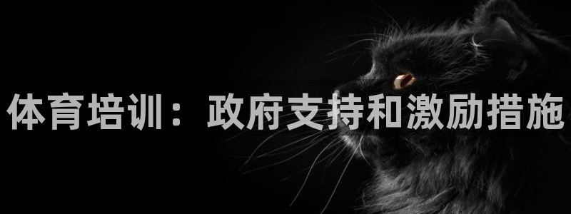 凯时APP官网首页：体育培训：政府支持和激励措施