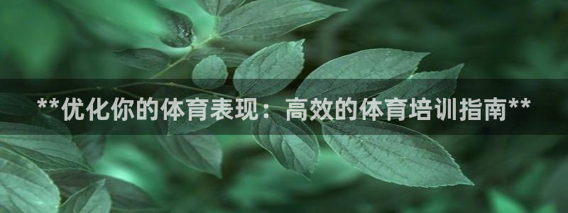 尊龙手机版下载：**优化你的体育表现：高效的体育培训