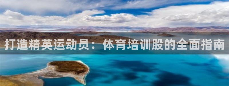 尊龙这个平台怎么样：打造精英运动员：体育培训股的全面指南