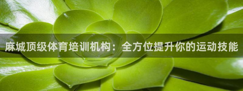 尊龙凯时：麻城顶级体育培训机构：全方位提升你的运动技