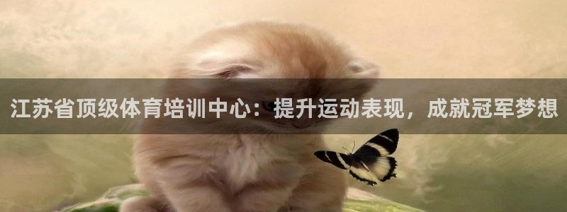 尊龙ag旗舰厅登录 租车app下载：江苏省顶级体育培