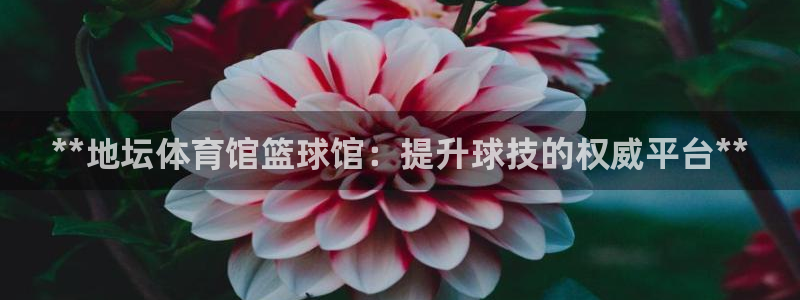 凯时ag旗舰厅网址是什么：**地坛体育馆篮球馆：提升