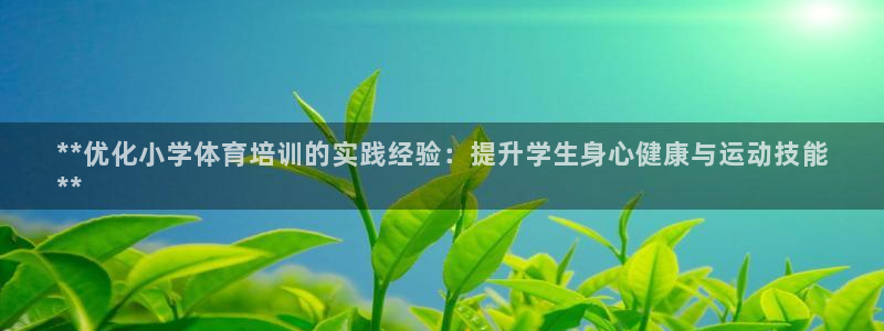 凯时kb88公司简介：**优化小学体育培训的实践经验