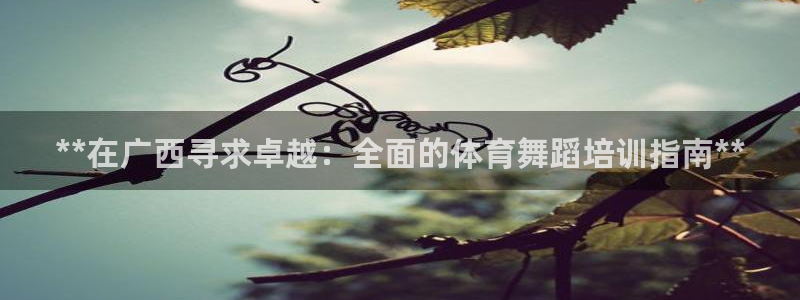 尊龙凯时：**在广西寻求卓越：全面的体育舞蹈培训指南