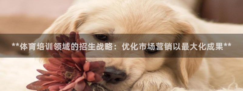尊龙长相评价：**体育培训领域的招生战略：优化市场营