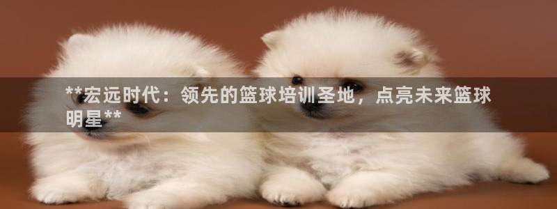尊龙人生就是博i可靠吗：**宏远时代：领先的篮球培训