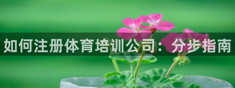 尊龙官网手机版：如何注册体育培训公司：分步指南