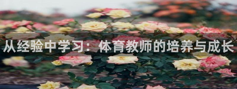 尊龙400