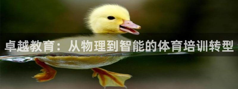 尊龙用现金一下可靠送38元