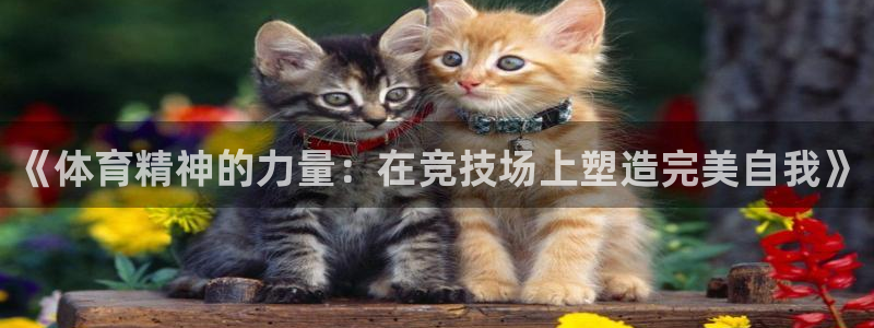 z6尊龙凯时ag旗舰厅