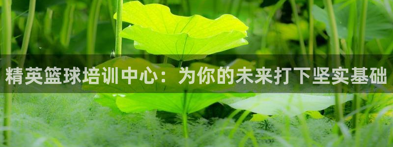 尊龙凯时最新平台登陆