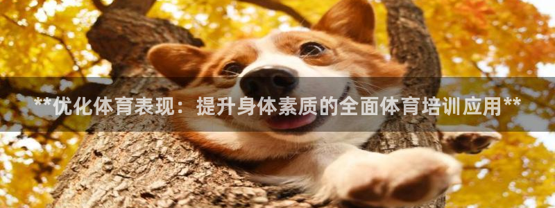 尊龙网站 人生就是博：**优化体育表现：提升身体素质