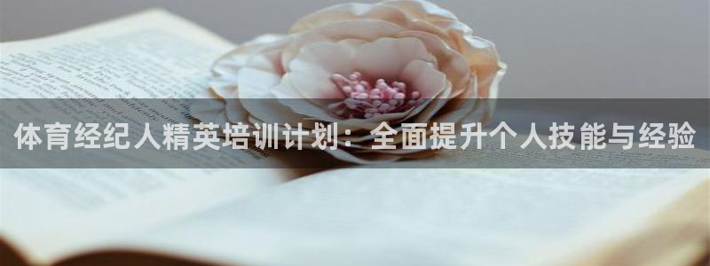 凯时网上官方网站