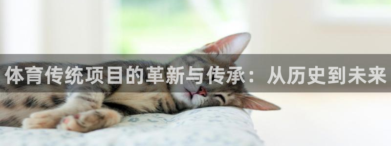 尊龙体育正规么