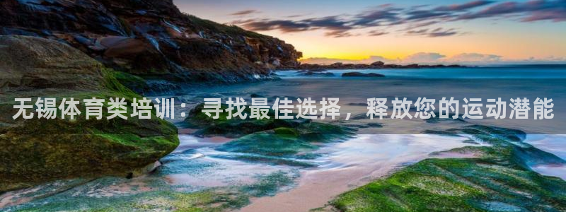 尊龙ag旗舰官网：无锡体育类培训：寻找最佳选择，释放您的运动
