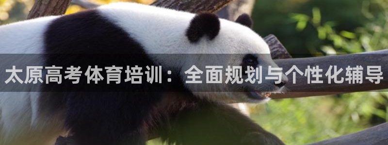 尊龙凯时不给提现怎么办：太原高考体育培训：全面规划与个性化辅