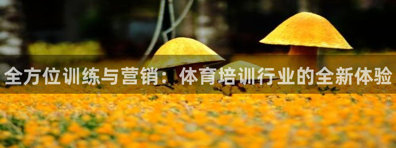 尊龙官网注册：全方位训练与营销：体育培训行业的全新体