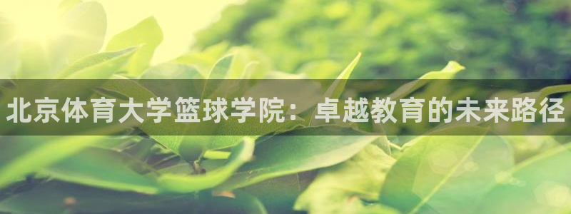 尊龙官网免费下载安装：北京体育大学篮球学院：卓越教育