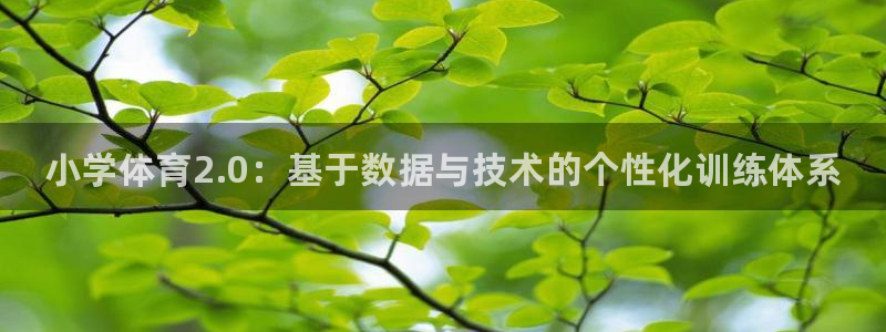 尊龙凯时口碑好吗：小学体育2.0：基于数据与技术的个