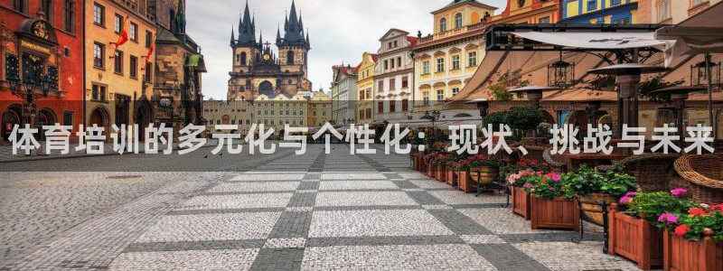 尊龙凯时网站怎么样：体育培训的多元化与个性化：现状、挑战与未