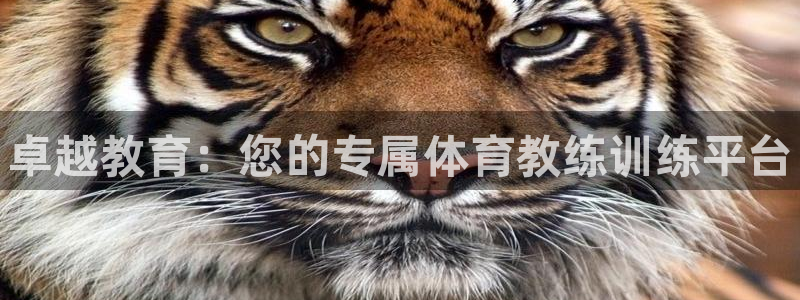 凯时k8娱乐唯一官网：卓越教育：您的专属体育教练训练