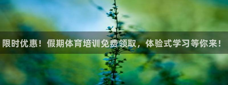 凯时k88最新：限时优惠！假期体育培训免费领取，体验式学习等