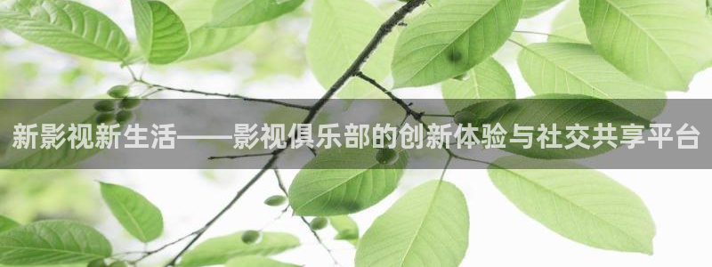 开心影院动漫：新影视新生活——影视俱乐部的创新体验与社交共享平台