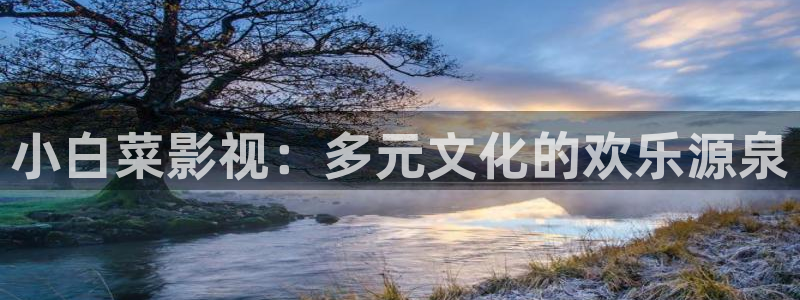 午夜开心影院：小白菜影视：多元文化的欢乐源泉