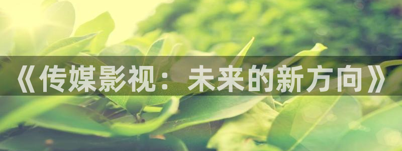 开心影院网：《传媒影视：未来的新方向》