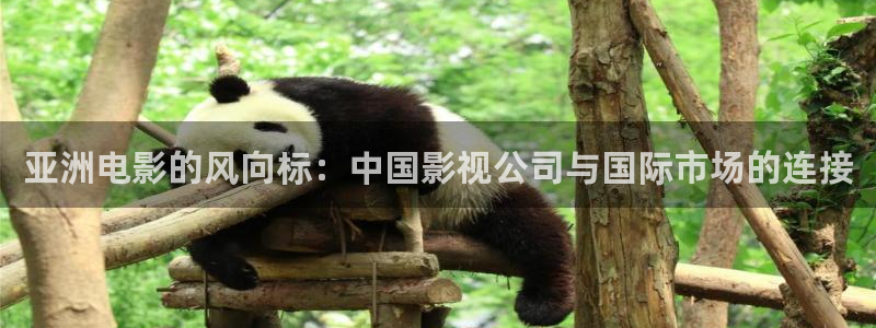 开心影院免费高清电视剧：亚洲电影的风向标：中国影视公司与国际市场的连接